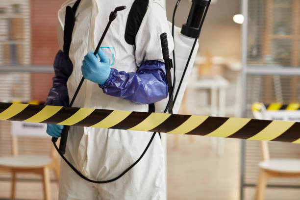 Professional Sewage Cleanup technician working in Warren, IN